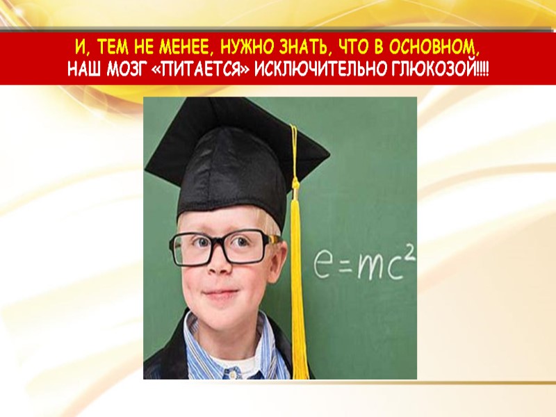 И, ТЕМ НЕ МЕНЕЕ, НУЖНО ЗНАТЬ, ЧТО В ОСНОВНОМ,  НАШ МОЗГ «ПИТАЕТСЯ» ИСКЛЮЧИТЕЛЬНО